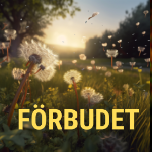 Novellen ”Förbudet” av Kajsa Segle