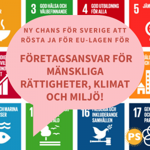 Ny chans att rösta ja till en EU-lag som reglerar företags ansvar för mänskliga rättigheter, miljö och klimat.